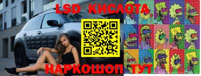 spice Шахты