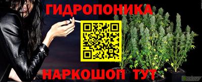 МДПВ Шелехов